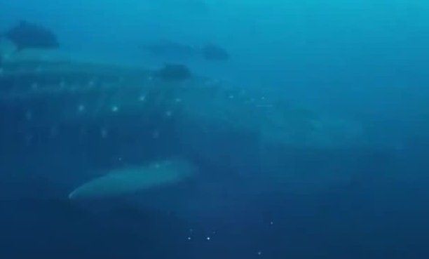 5b27d32d-7780-45fb-9374-8bec97c6b66b