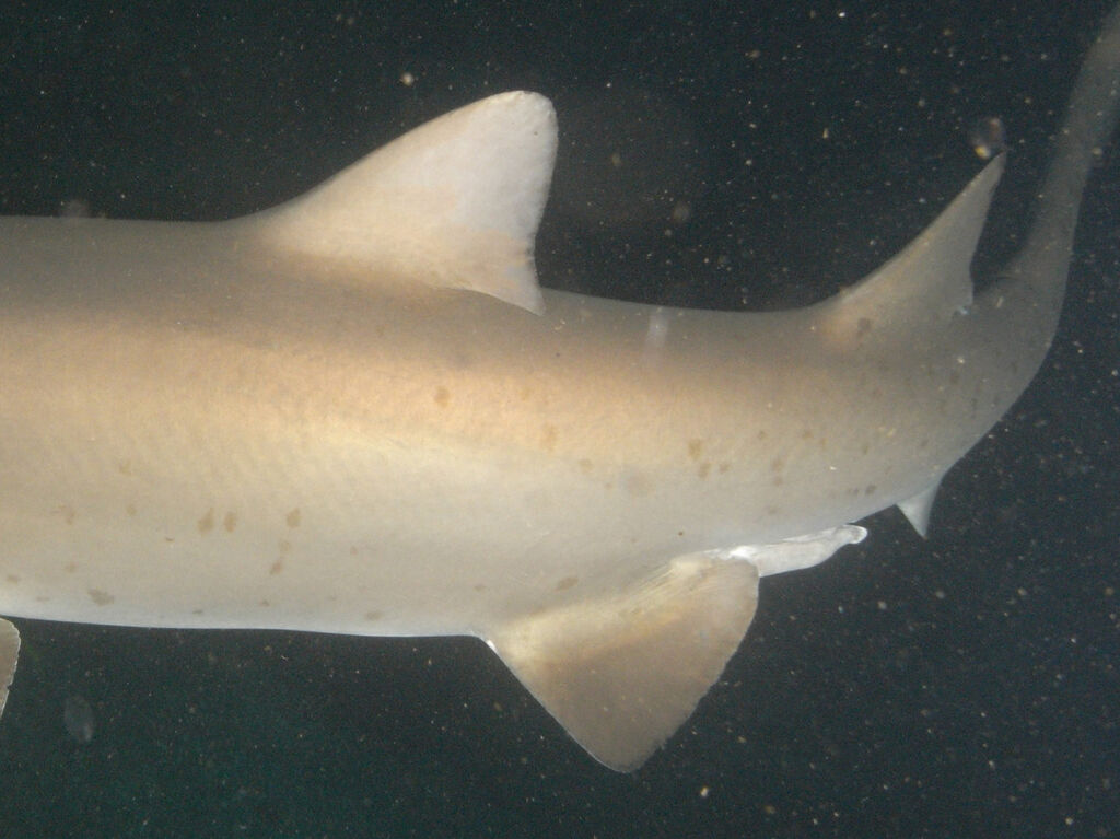 9a7a4ce6-8690-4d65-9f40-f05cc435f2ec