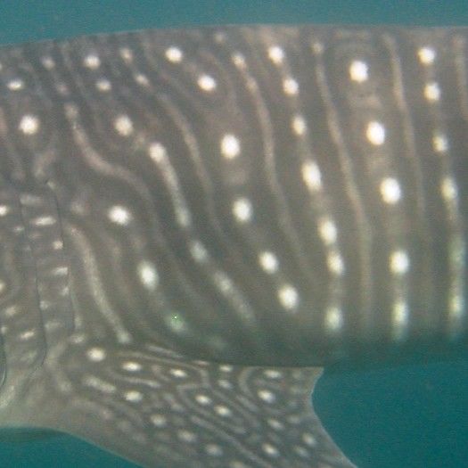 54611aad-a043-4889-9427-577ba9f5f3b3