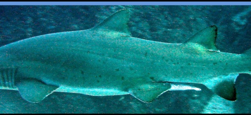 72d13440-1970-453e-98d4-0da28663cfce