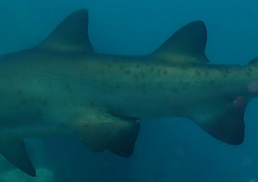 826e55a3-d9d2-4039-ae3a-4a1a5185eb2e