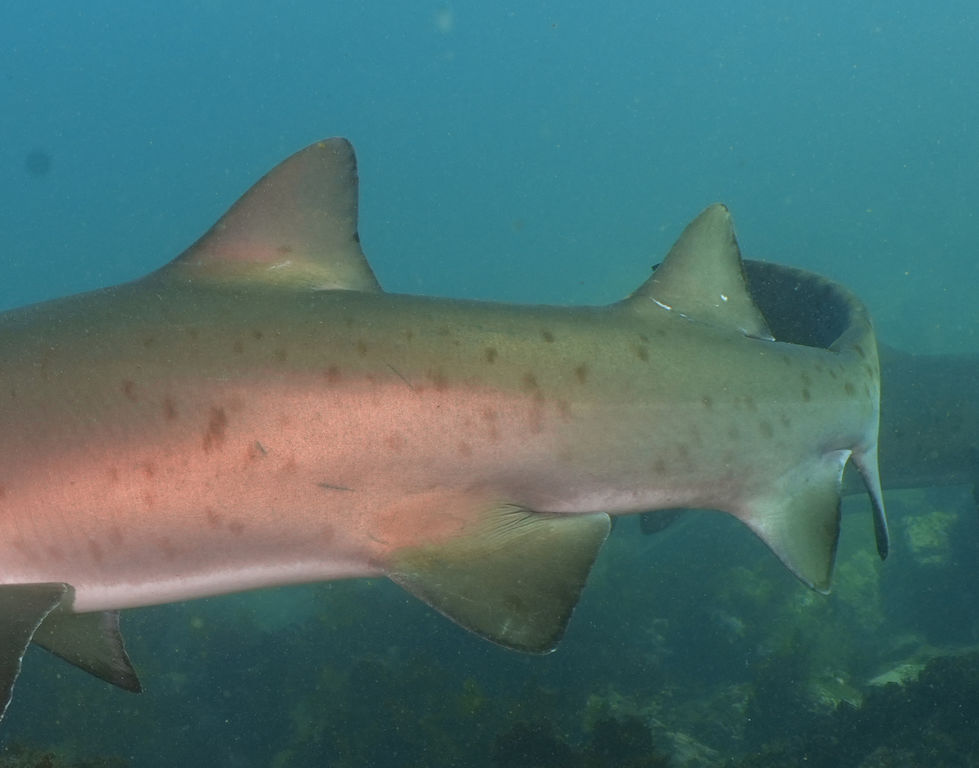 a9bb96c3-0d1f-4c39-b905-8f5c06ef7ff5