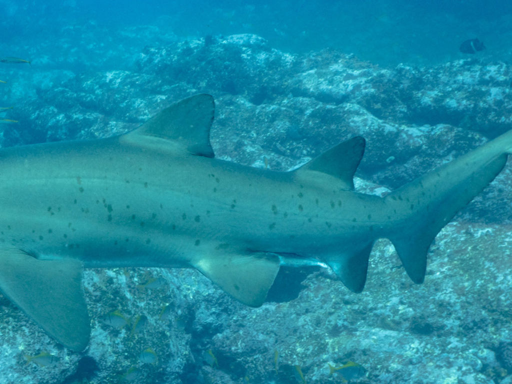 2ac3eabe-e578-4093-b496-bb028bf35594