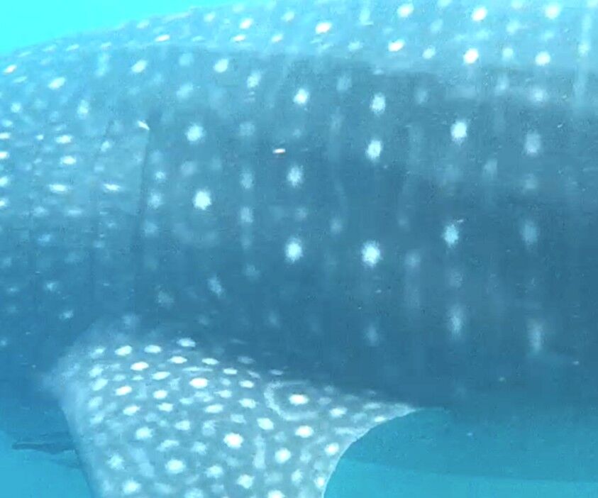 49aa70b6-adb0-4f58-914d-fbd93720541d