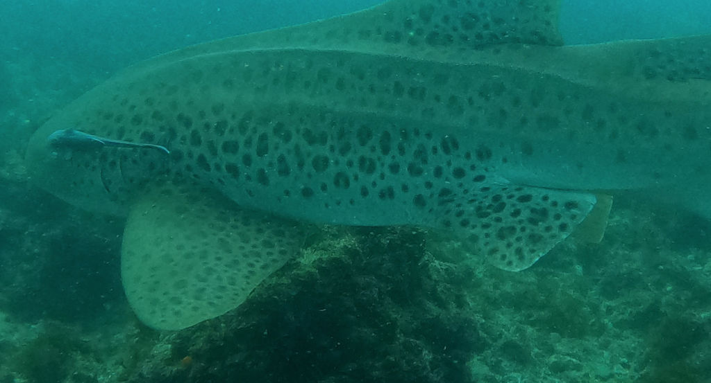 7ae45c62-645a-461a-abd8-f81b61ccab6d