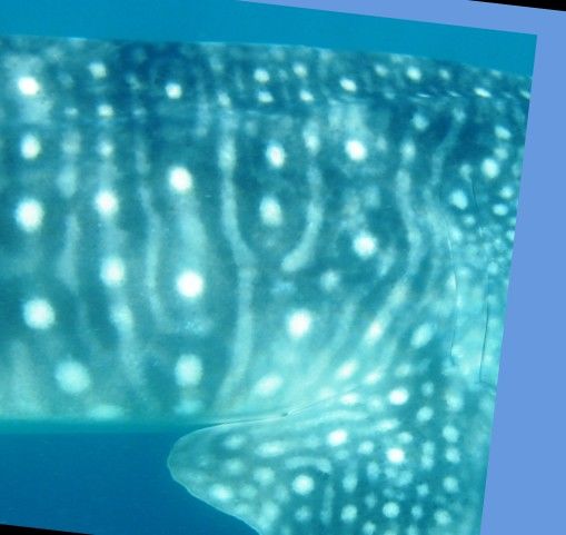 5f9397af-cc2f-448b-959a-9620c7c27d03