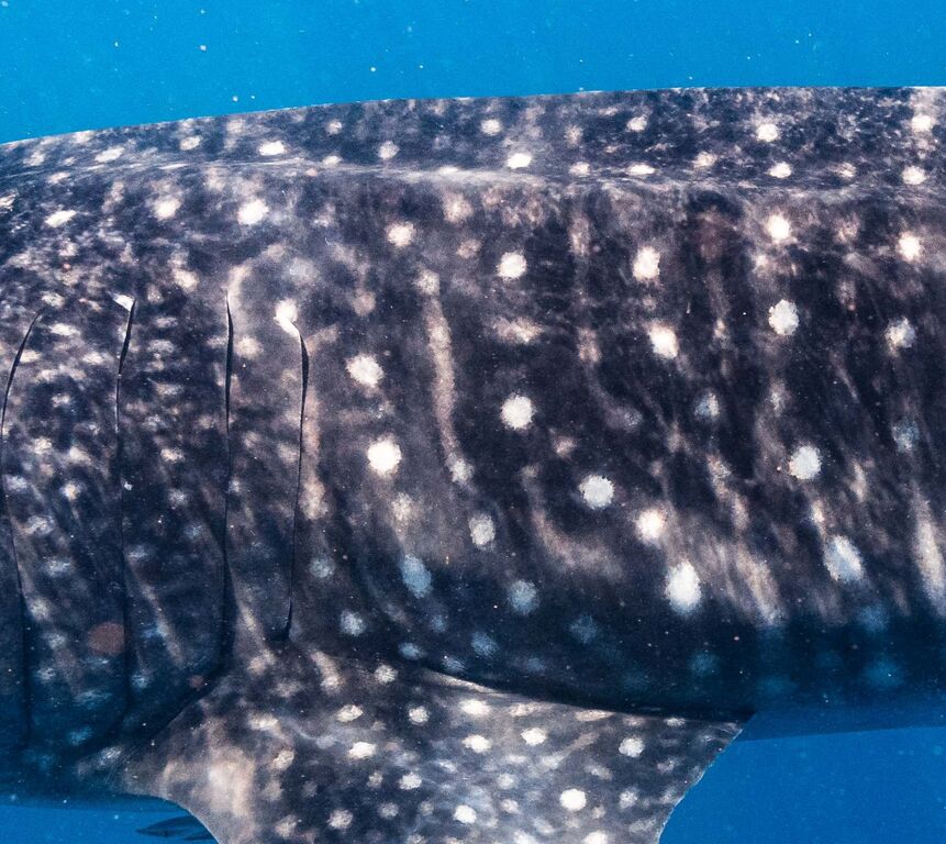 280187d0-b3d4-4e98-b150-04fc6e930ef8