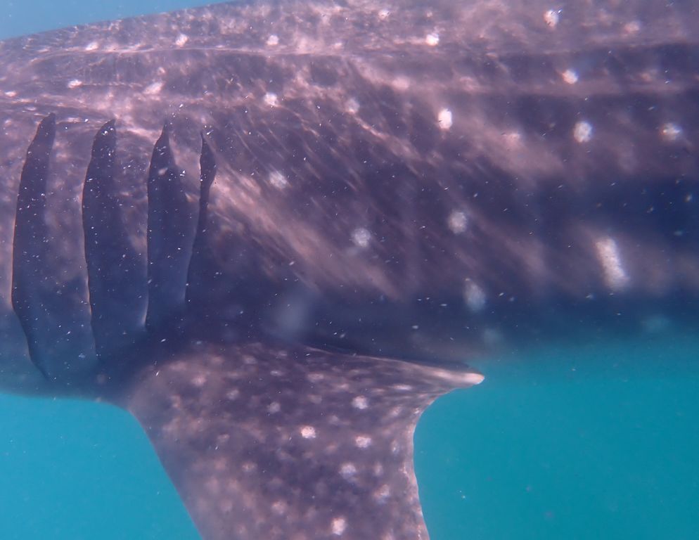 88cec84b-a7a7-4ea7-b253-c7c04b4bb893