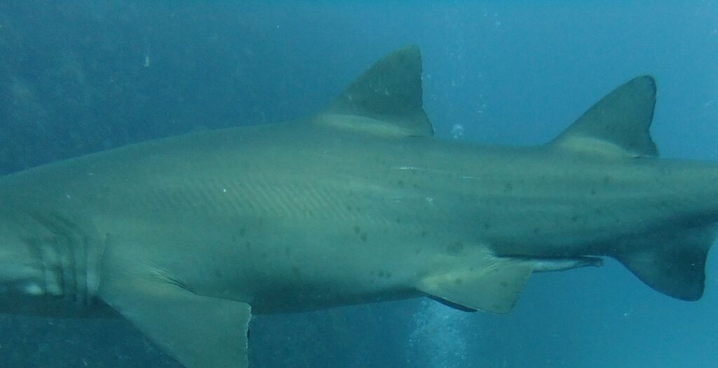 d370a20a-bd0c-4174-bb10-a975ef52bb69