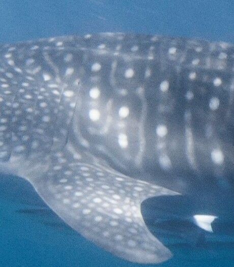 a1715363-4a6e-4bb9-9267-78960e4a1e93