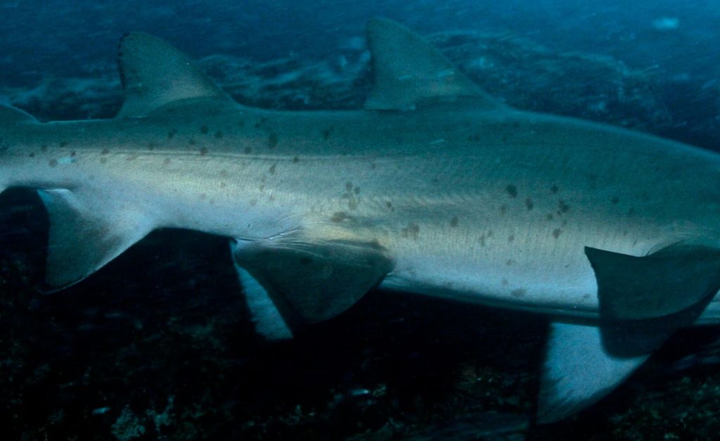 421c033d-7f9c-4464-b30f-24bd3a84d5f9