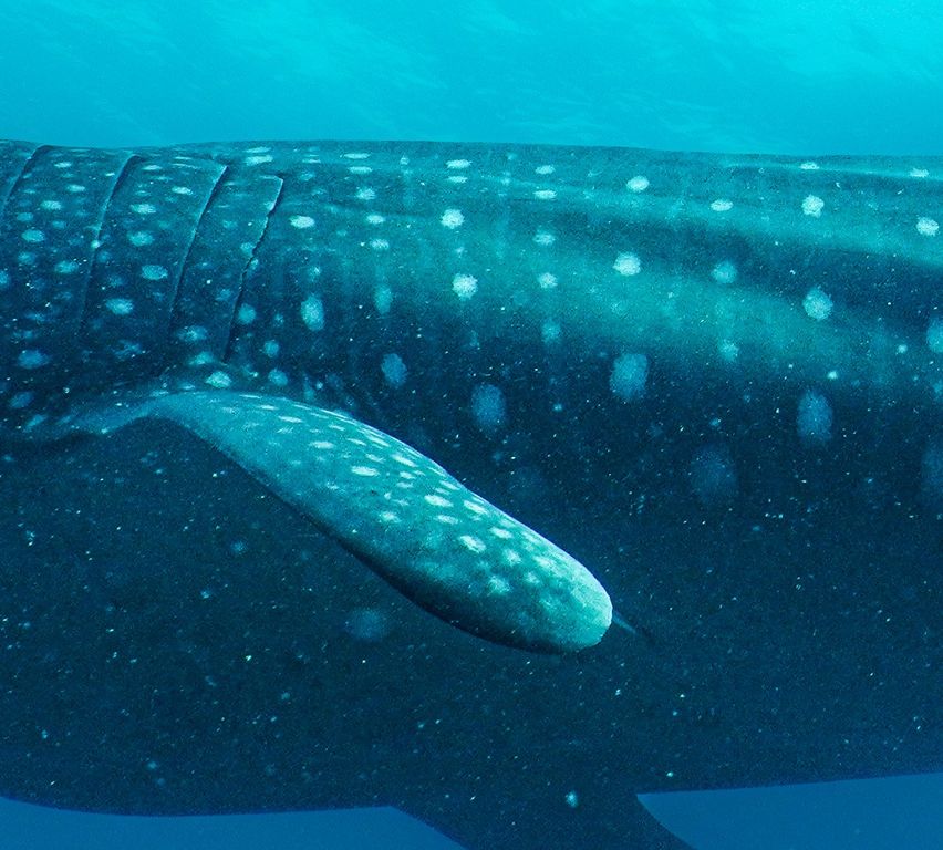 7a2197c4-0764-490b-ac09-0374070b88d4