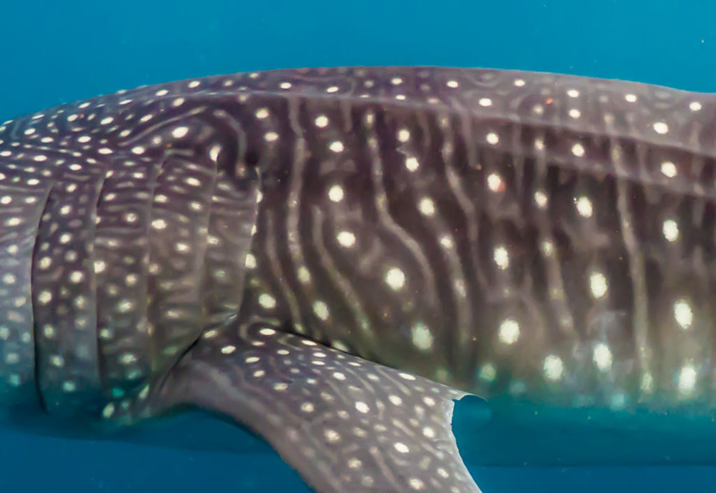 5e6c1361-2b48-4e90-b690-ea61ff163fcd