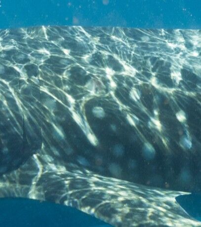 c4adc1e1-4952-4b3e-9ebd-adc9a9ad8da3