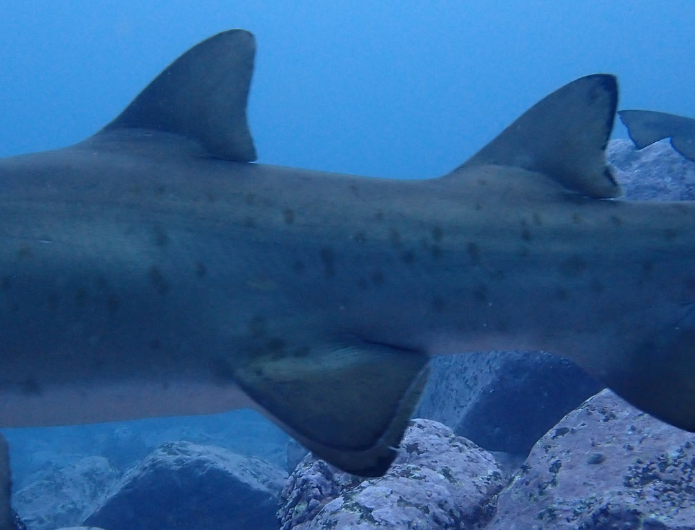 2e99d0d1-1cc1-4438-8294-b2079ec34c1f