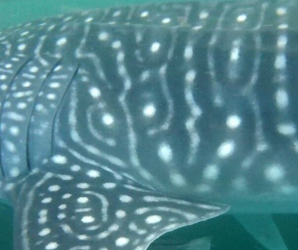 a9cfd1bf-4548-4057-8adc-d1ad622cac44