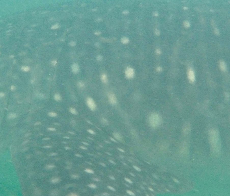 27d45831-dad6-42d6-8e2b-f9da42b7daf6