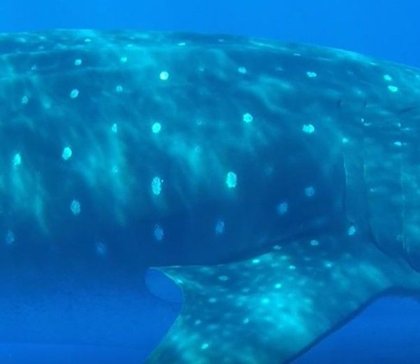 2de7af8e-5efe-4bdb-ba76-3b798c0cc961