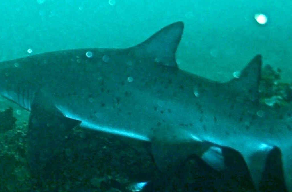 395c8cd6-36ad-4a1a-ae0d-2e699decaa5d