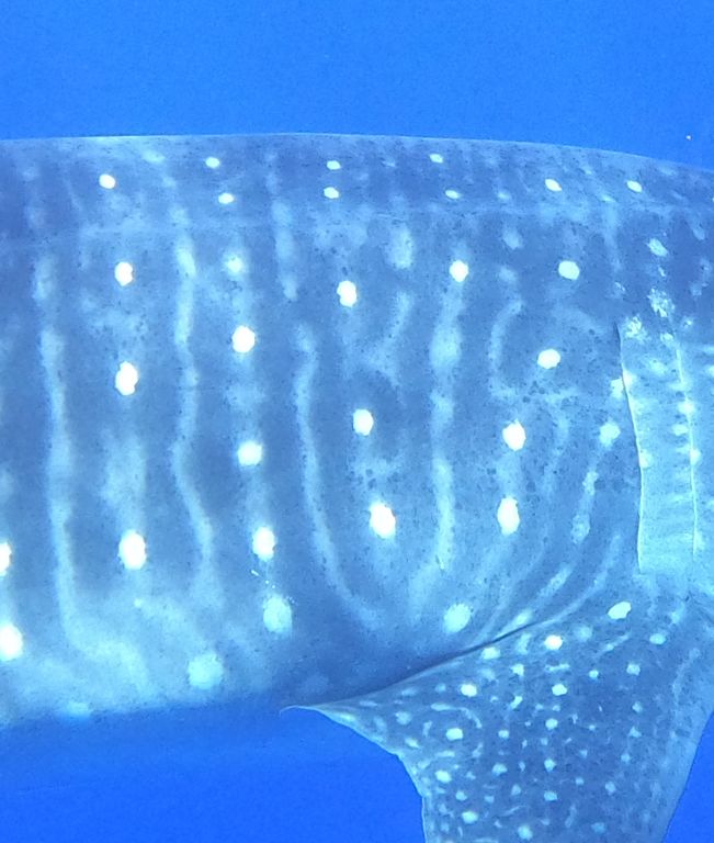 7a67d0da-0ac3-47db-9e42-c0175f14d17b