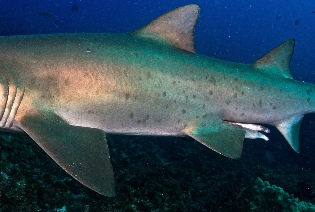 3aa70d6a-5bbe-4294-8f42-e35f907a1710