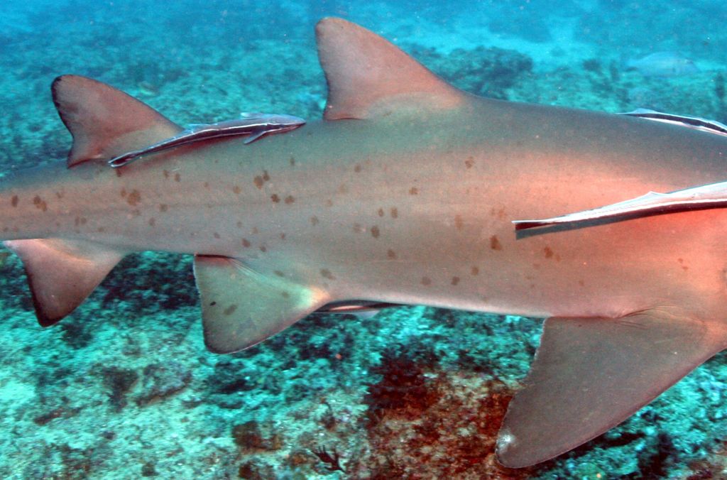 0ea7aa26-17bf-457d-a48b-d4c637c3e97d