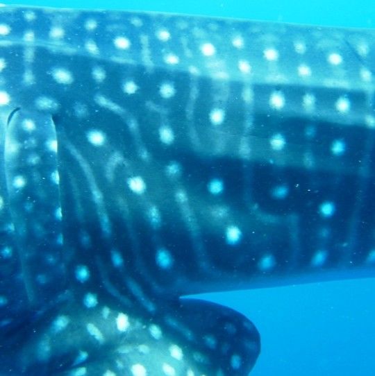 1feee554-ba97-442f-afcf-4f9abc0e91ef