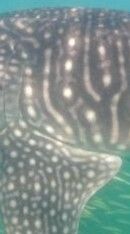 a7269452-005a-4add-892a-77c53a52b8c3