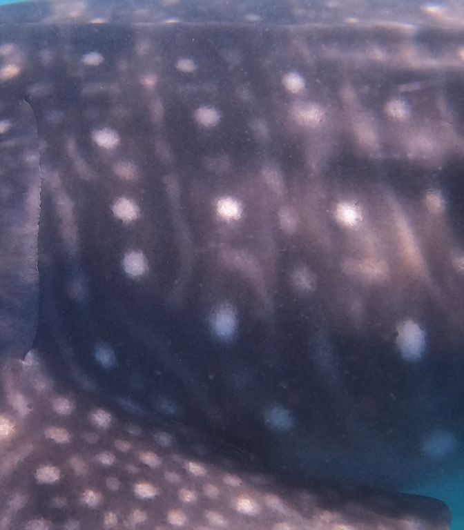 6cb2f88c-0309-495f-9c10-ca4ec5a1200d