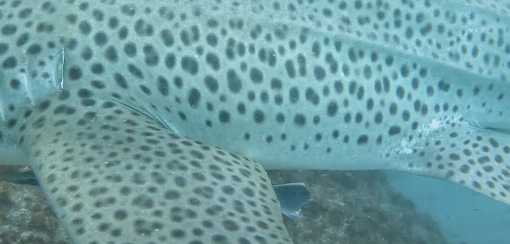 e3f01a09-dfda-456a-a2ce-b2405fe9bdc7