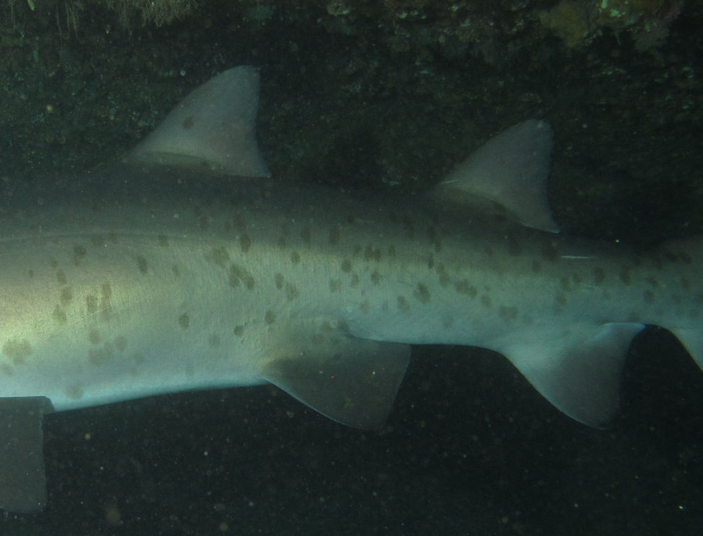 e13b171a-73cb-4d66-a19c-8e18717a27ed