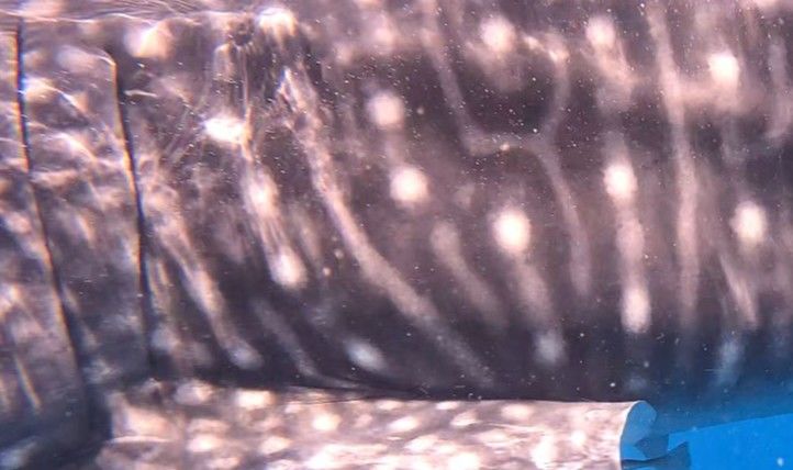 9b73f79f-ea7c-4d4b-8da6-88539762198d