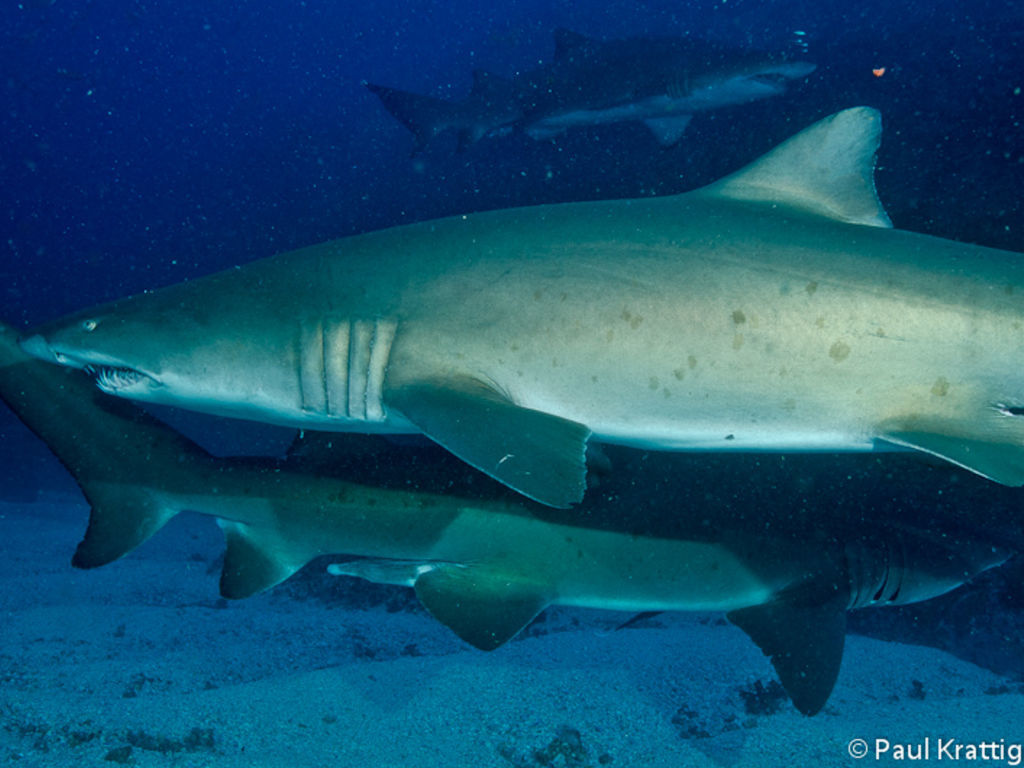 819737d1-c552-4544-94af-d01a2602370c