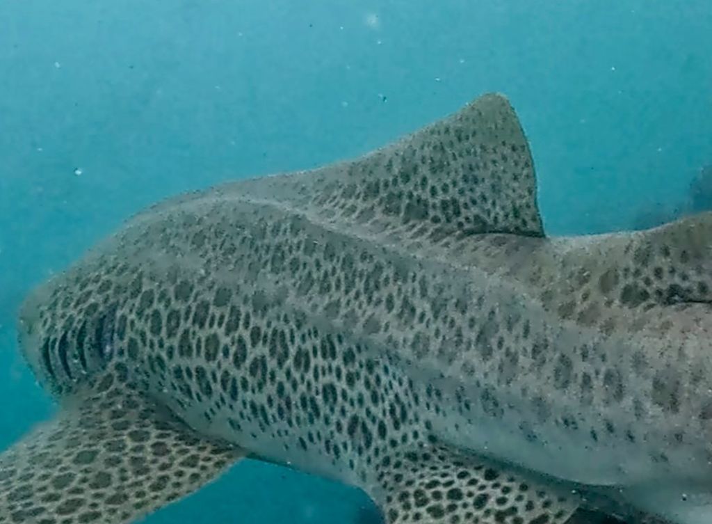 0fe94eda-f944-4ac2-b006-76e240ac5079