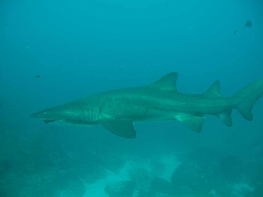 627f9785-1684-4bf9-b177-abd0abf00d84