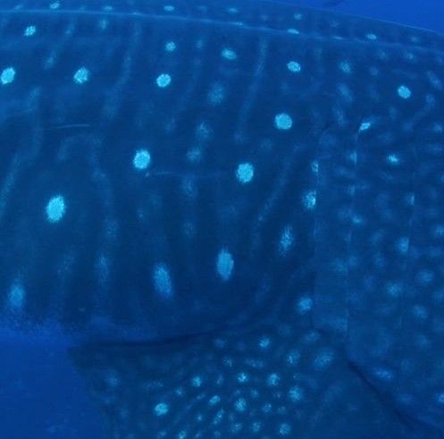 f4b51e0a-89e2-4a73-a4f7-223a06791df0