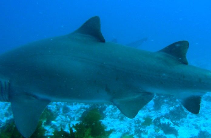 03b205d6-94b0-4401-ade7-6e4138db52f7