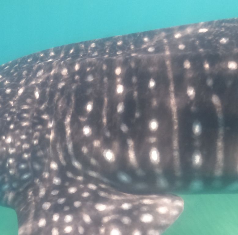 5ae67e65-1b14-4534-a9b3-e18c69fb33b4