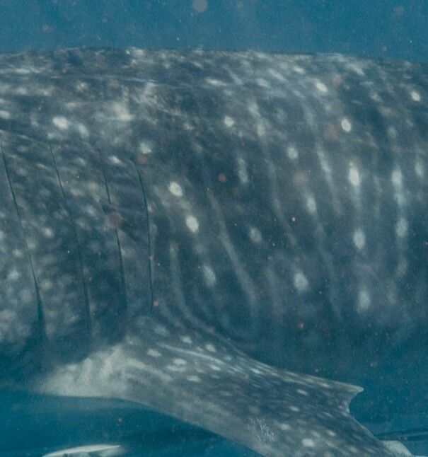 489a1800-543e-4288-ab01-e0defbb3575b