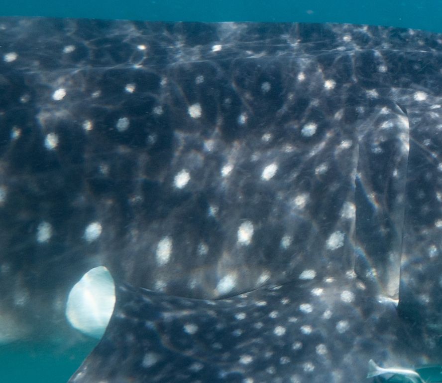 f1f5316c-eb30-4a4c-a608-6df203e9f2f5