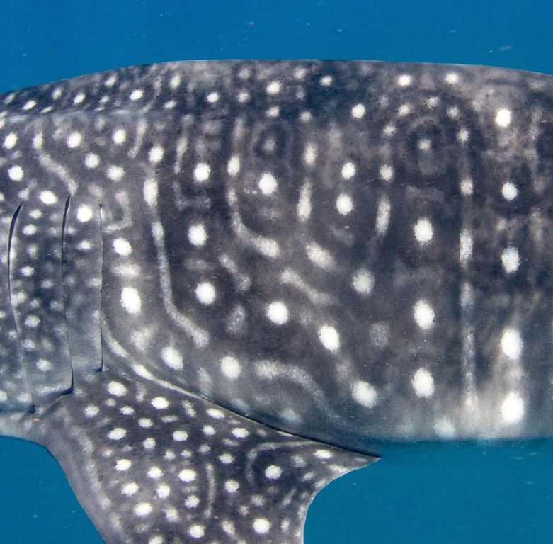 f5087089-8a66-4110-9c2f-b715a684f68b