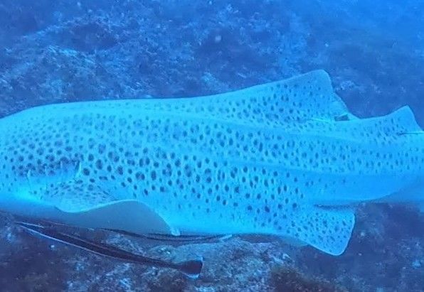 aa2a3641-fc65-4fab-b46c-e7f6d8e28eb8