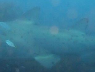 f6a1adbe-d084-4af6-930f-ab577e4fffbf