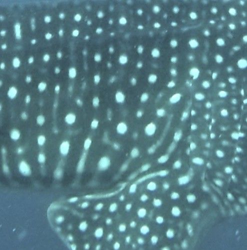 d8a94ae9-fb38-49be-9efb-bb8d69c3191a