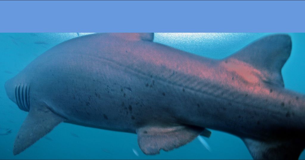 e1ad1e69-3972-40d4-a90d-7768f2931df6