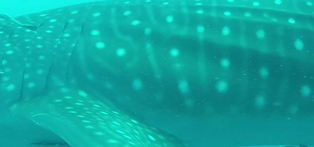 73de0d18-0e4e-492b-8df3-6a24d7f87cfa