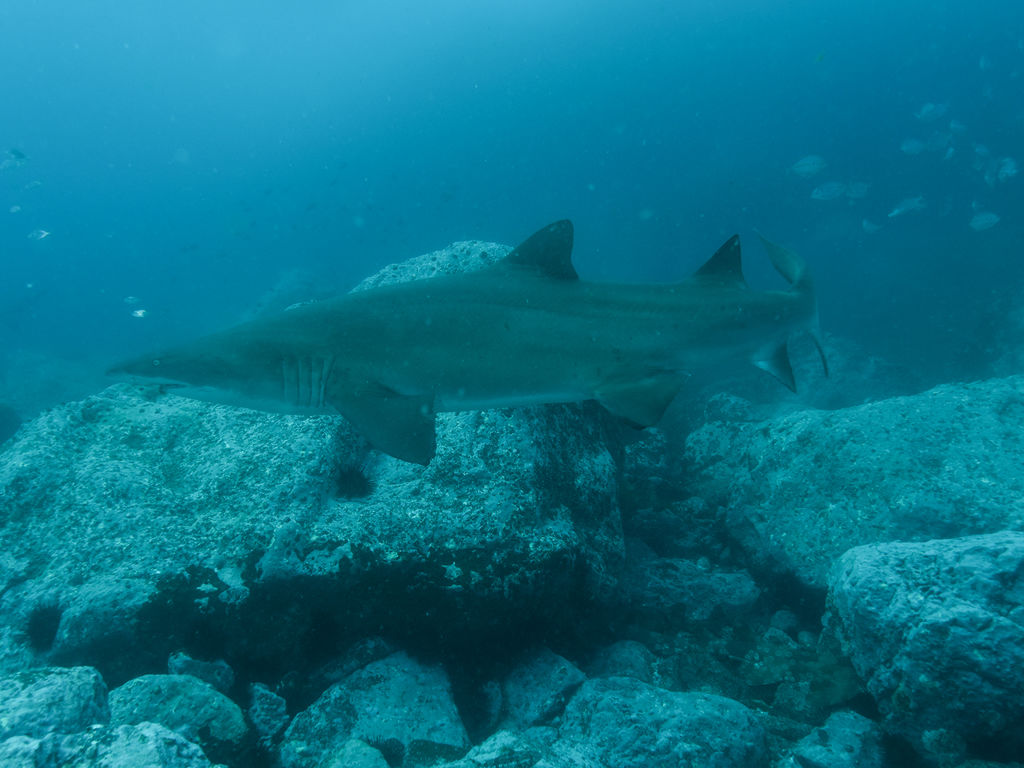 a661ab39-564d-4239-b746-a3870a89bcbb