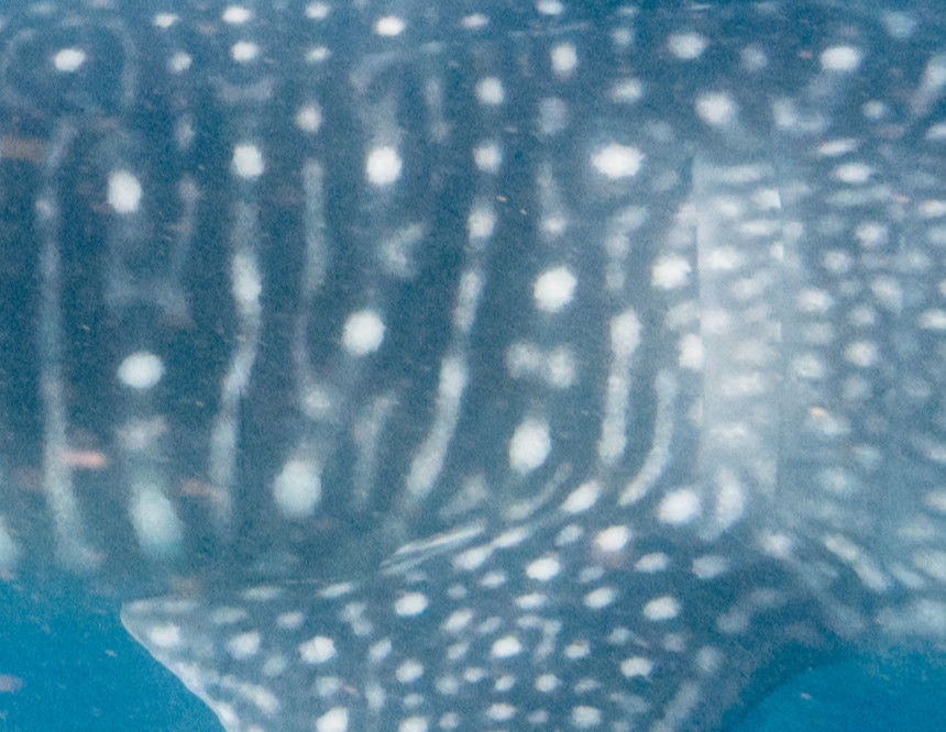 10fd1617-99db-4d24-97ee-7b6128ba52bb