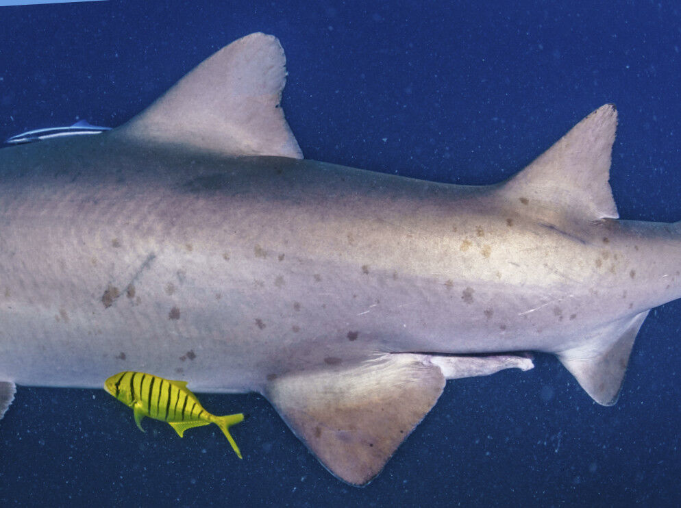 4ee75010-71a0-4c3a-8f3b-1937f0ef2665