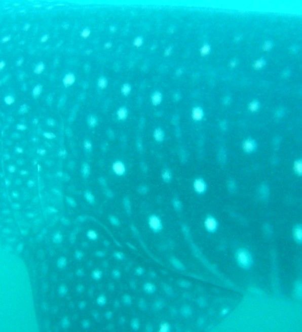 5ab7e82e-0727-4bd9-b1fd-5b7f6ec321bf